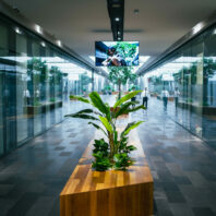 DSC07546 scaled DSC07546 scaled